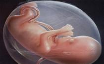 为什么会胎停育？ 胎停育如何预防