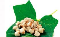 治疗牛皮癣偏方 快快收藏起来吧！