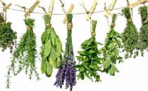 药妆是什么？如何挑选药妆？