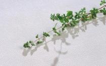 药妆品有什么功能？用药妆会产生抗药性吗？