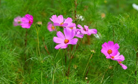 三种拍脸方法让你摆脱大饼脸！