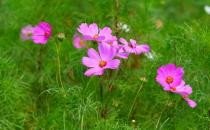 三种拍脸方法让你摆脱大饼脸！