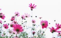 不喝酒才能瘦脸哦！瘦脸需要做什么？