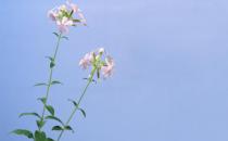 有双下巴？教你快速消除双下巴！