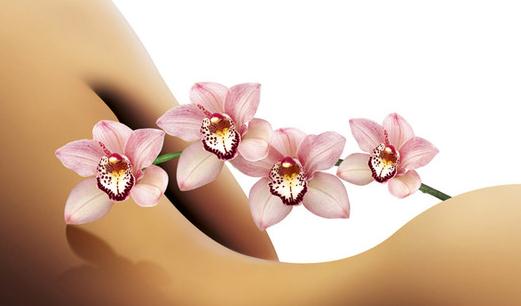 手脚冰凉的体质如何通过中医来调理？