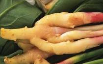 热姜水的功效作用-吃姜的好处