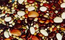 奶类和豆类对人身体好处多多哦