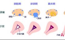 女人再不管好大姨妈 将导致妇科重症疾病