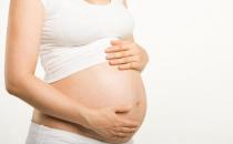 孕期美味鸡汤：猴头菇鸡汤的做法