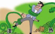  什么是湿热体质？如何从饮食调理？