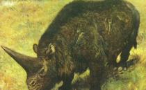 大揭秘：史前动物你知道多少？