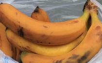 水果发霉了还能吃吗？对健康有没有影响？