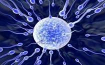 影响男性精子质量的食物和习惯