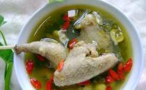 养生鸽子汤 鸽子汤的营养功效