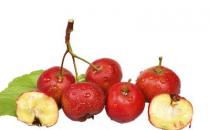 山楂功效强大 推荐4款食疗方