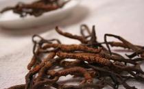 立冬进补有道 六款进补药膳增强体质