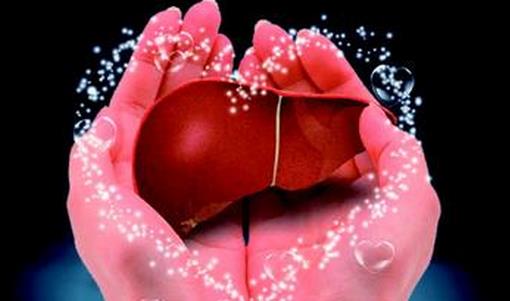 如何有效的养肝护肝？中医传授6大护肝秘诀