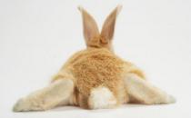 阴险小人面相，认准了