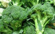 防癌明星西兰花有什么营养价值？