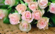 夜间如何美白？夜间美白效果更好！