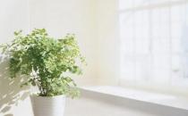 我们为什么会接吻？接吻的理由？