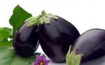 女性生吃茄子能减肥吗