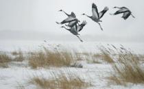 女人一生要谈多少场恋爱才好？