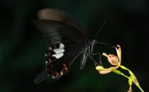 哪种职业的女人最不好嫁？