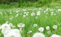 不同年龄段的女人喜欢什么样的男人？