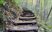 恋爱恐惧症会有什么症状？