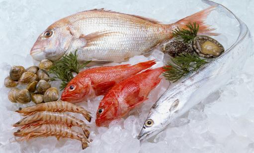 教你轻松判定海鲜新鲜度