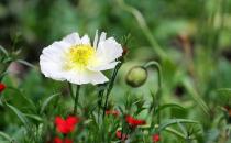 如何走出失恋的痛苦？不用寄喜帖给他