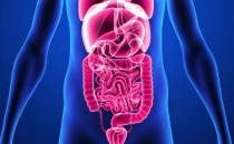 肠道好人不老 来测测你的肠道年龄