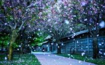 为什么淑女难嫁？过分矜持让男人却步