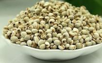 推荐4种薏米祛湿的做法