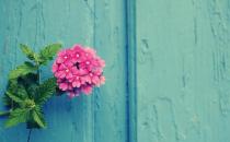 女人应该怎么跨入恋爱之门？