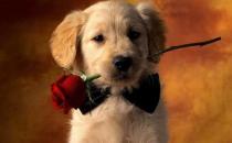 不善于倾听他会让他离你越来越远