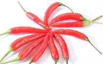 冬天吃辣椒暖胃驱寒 吃辣椒不上火的窍门