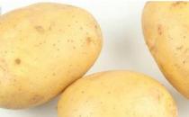 女性冬季怎么进补养颜