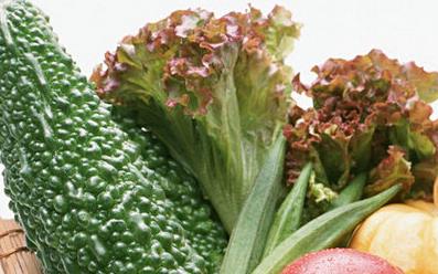 电脑族吃什么食物降火