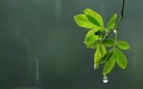 多雨季节老人该如何养生