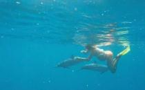 美国夫妇准备海中分娩，让海豚来接生