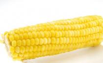 玉米可以防治多种疾病