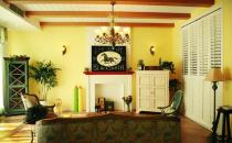 黄色装修如何搭配色彩？