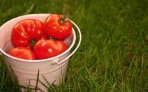 女性九种抗衰老神奇食物 越食越美