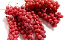 五味子能治疗男人早泄吗