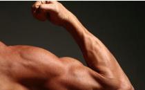 男人如何练出手臂肌肉