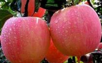 苹果也有两面性 这2类人不宜吃苹果