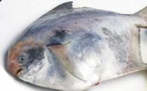 吃鲳鱼降低胆固醇预防癌症