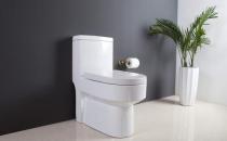 马桶堵塞的原因-马桶堵塞处理方法